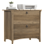 Salinas 2 Drawer Lateral File Cabinet