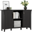 Salinas Accent Storage Cabinet with Doors
