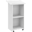 Envision Podium Lectern