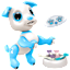 The Interactive Robotic Puppy