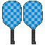 2-Pack: Jill & Ally Pickleball Paddles