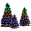 The Northern Lights Tree
