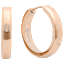 SteelTime Stainless Steel Plated Hoop Earrings