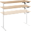 Energize 55W x 24D Electric Height Adjustable Standing Desk