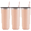 The Insulated Stainless Steel Tumblers Set