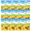 12-Pack: Emerald Pumpkin Harvest Mini Trainers