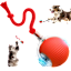 The Smart Pet Ball