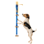 Krediz Pet Dog Training Bells