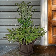 National Tree Company 48" Core Greenery Decorated Core Urn