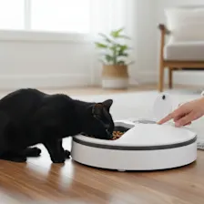 SideDeal Daily: iHome Smart 6-Meal Pet Feeder
