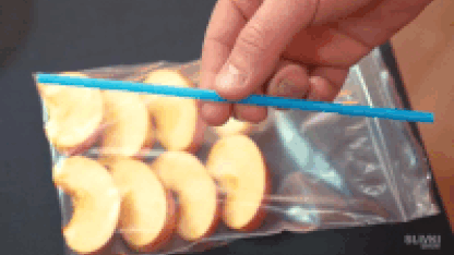 BOGO Foodsaver bags