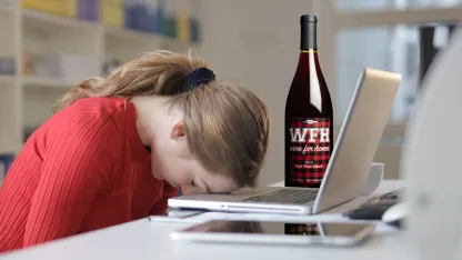 1 Case (12 Bottles) of WFH (Wine For Home) Red Blend