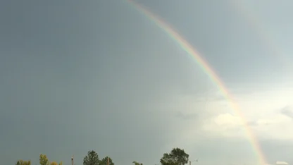 Rainbows I have seen recently