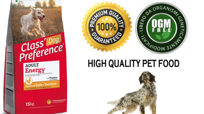 Dog preference: