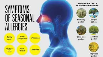 How bad are your seasonal allergies?