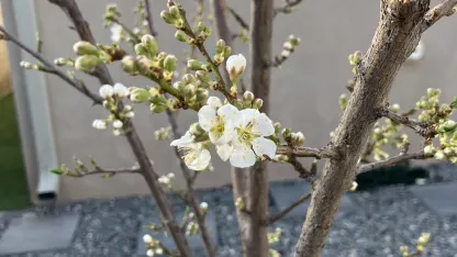 Spring is in the air