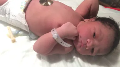 My daughter's freshly hatched baby girl