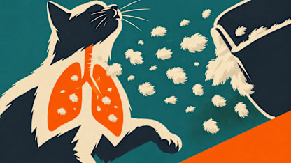 Flocked anything can kill cats or damage their lungs