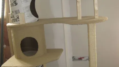 cat lovers check this out