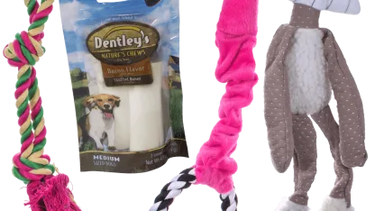 Dog Toy Bundle (Set of 4)
