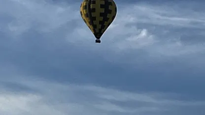 Seen this morning in San Marcos