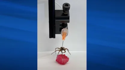 Necrobotics