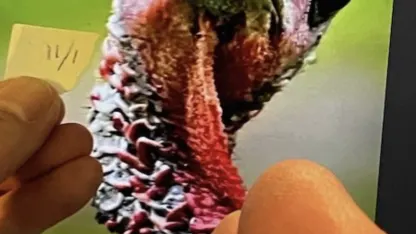 Gobble up your Ink for Irks