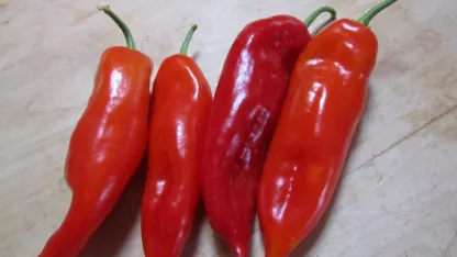 Favorite pepper: