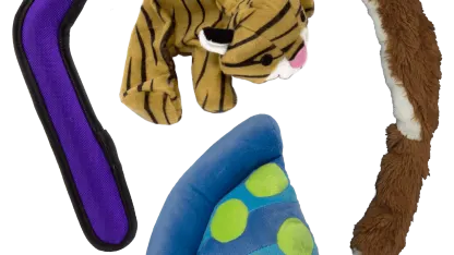Petmate Dog Toy Bundle