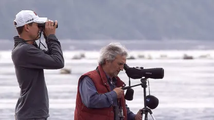 This is for the birds (and watchers).