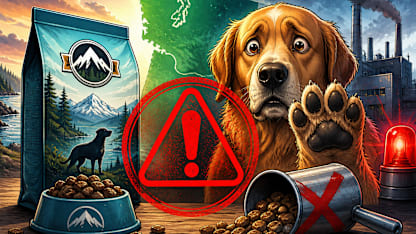 Northwest Naturals dog food recall