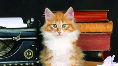 Hope you can see this-for you cat lovers out there