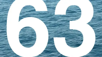 63