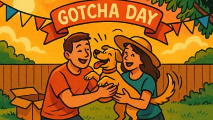 Doggo days of Summer - Gotcha day