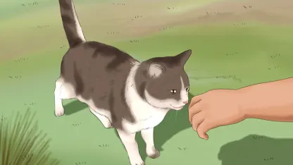 Tell stories with Wikihow art