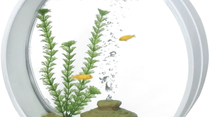 Complete Aquarium Kits 10L (small) or 20L (medium)