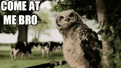 Talk about whatever you want in this thread
