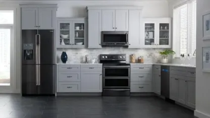 Let's talk appliances (fridge, oven, dishwasher...)