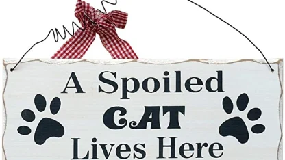 For the cat lovers here.
