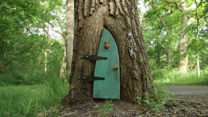 The Gnomist