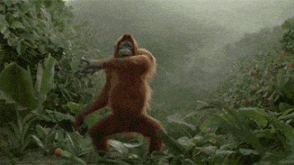 Hominidae hustle
