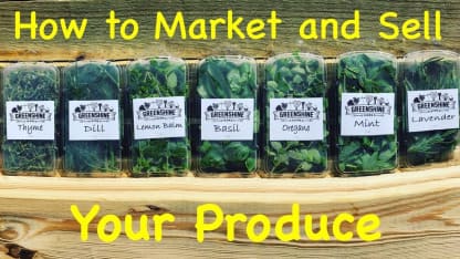 Where do you get your produce?