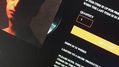 Vinyl: is it worth it?