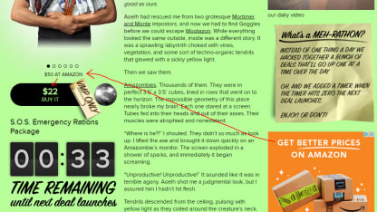 Nice Ad Placement