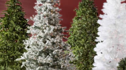 Christmas Trees