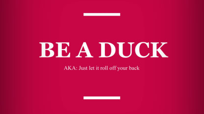 Let there be ducks!