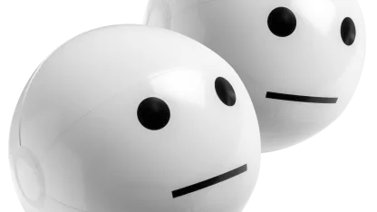 2-Pack: Meh 16" Beach Balls