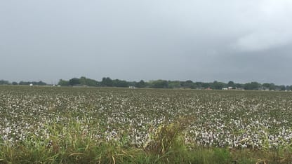 Americana. And Elsewhere-cana. What have you driven by today, this week, this summer, this year?
