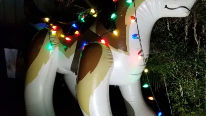 Merry Christmas from a blow up wolf toy!