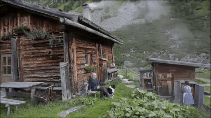 Homeowner's surprise